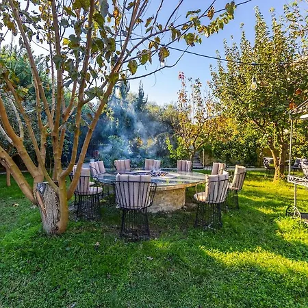 Appartement Ferma Gold Double By Pikhost Tirana