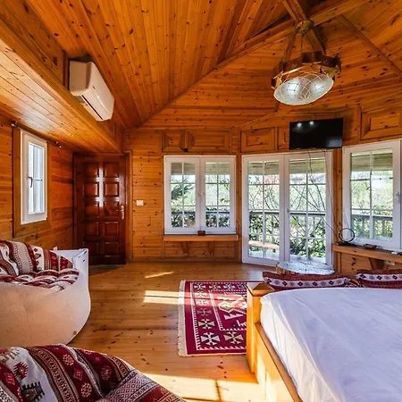 Ferma Gold Double By Pikhost * Tirana