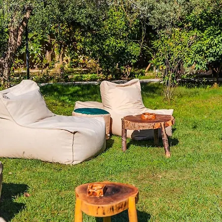 Ferma Gold Double By Pikhost Tirana