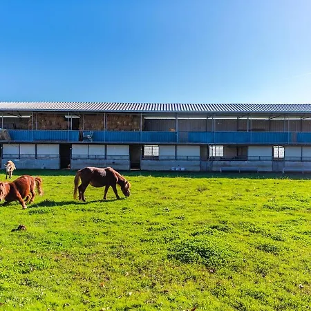 Appartement Ferma Gold Double By Pikhost