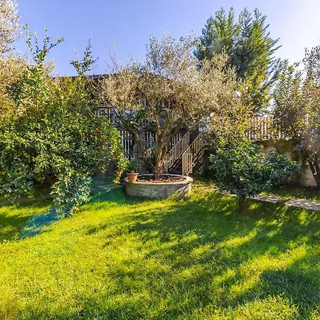 Ferma Gold Double By Pikhost Appartement